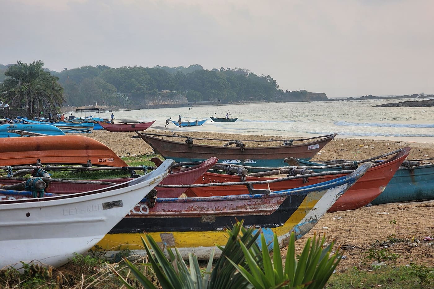 Matara Island Cruise 9