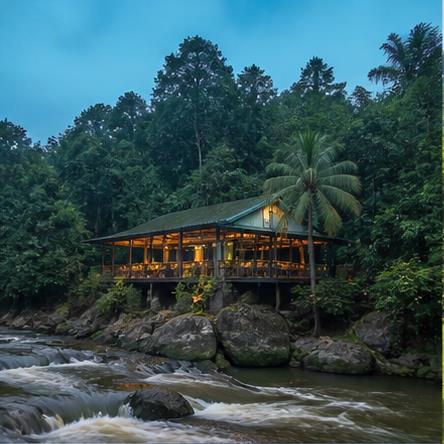 Kitulgala Rainforest