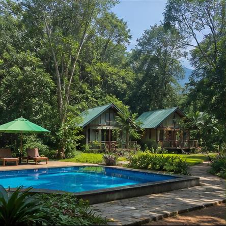 Kanneliya Rainforest
